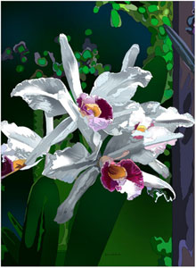 30-05_orchid.jpg